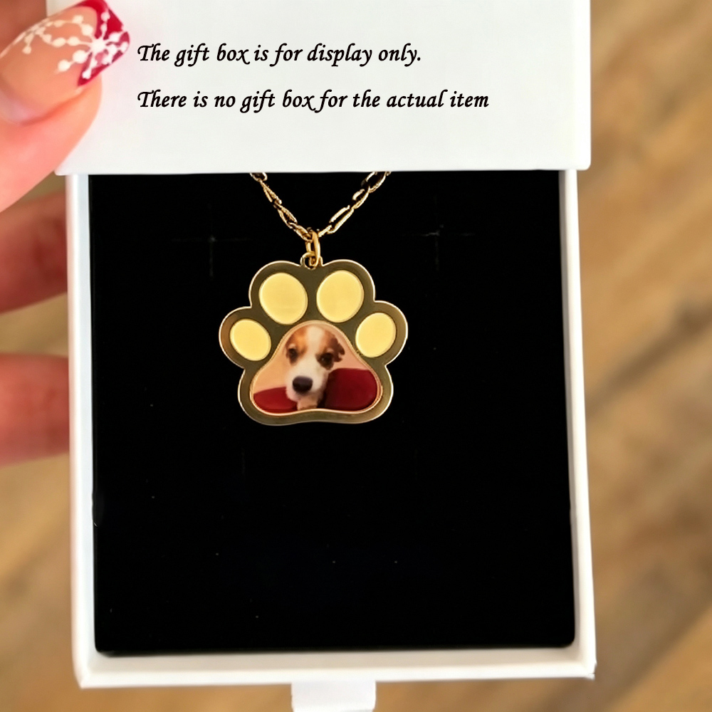Personalized Pet Paw Colors Pr - Engraved Name Necklace 评论和价格
