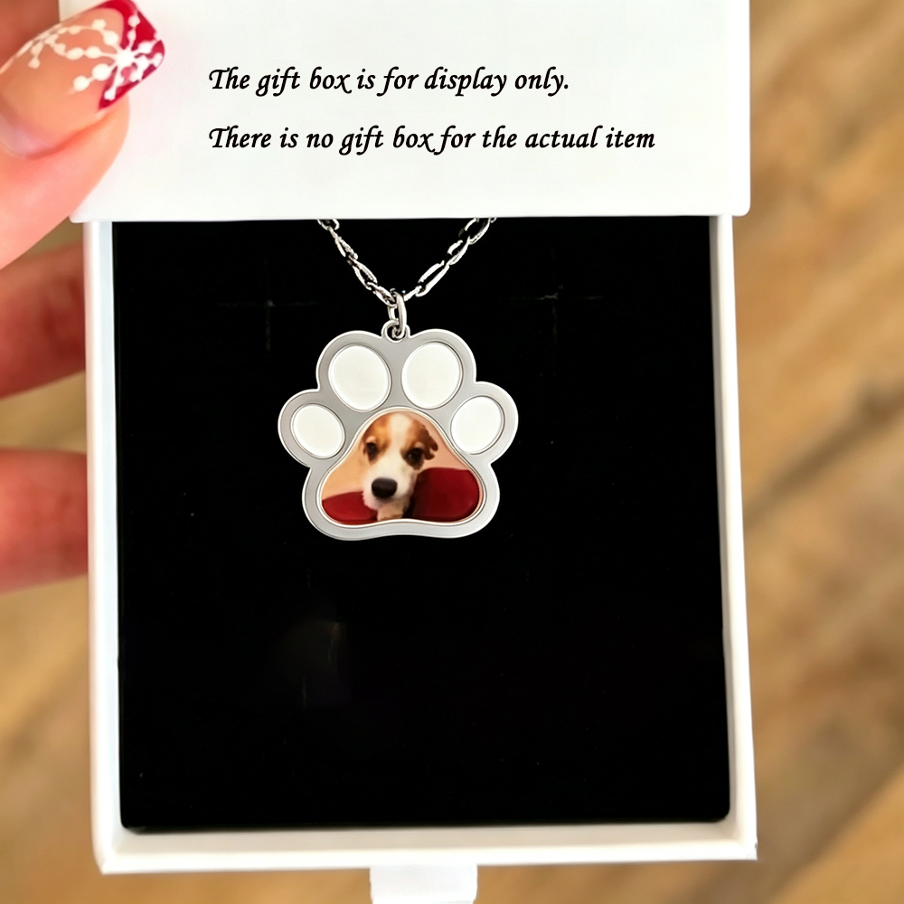 Personalized Pet Paw Colors Pr - Engraved Name Necklace 评论和价格