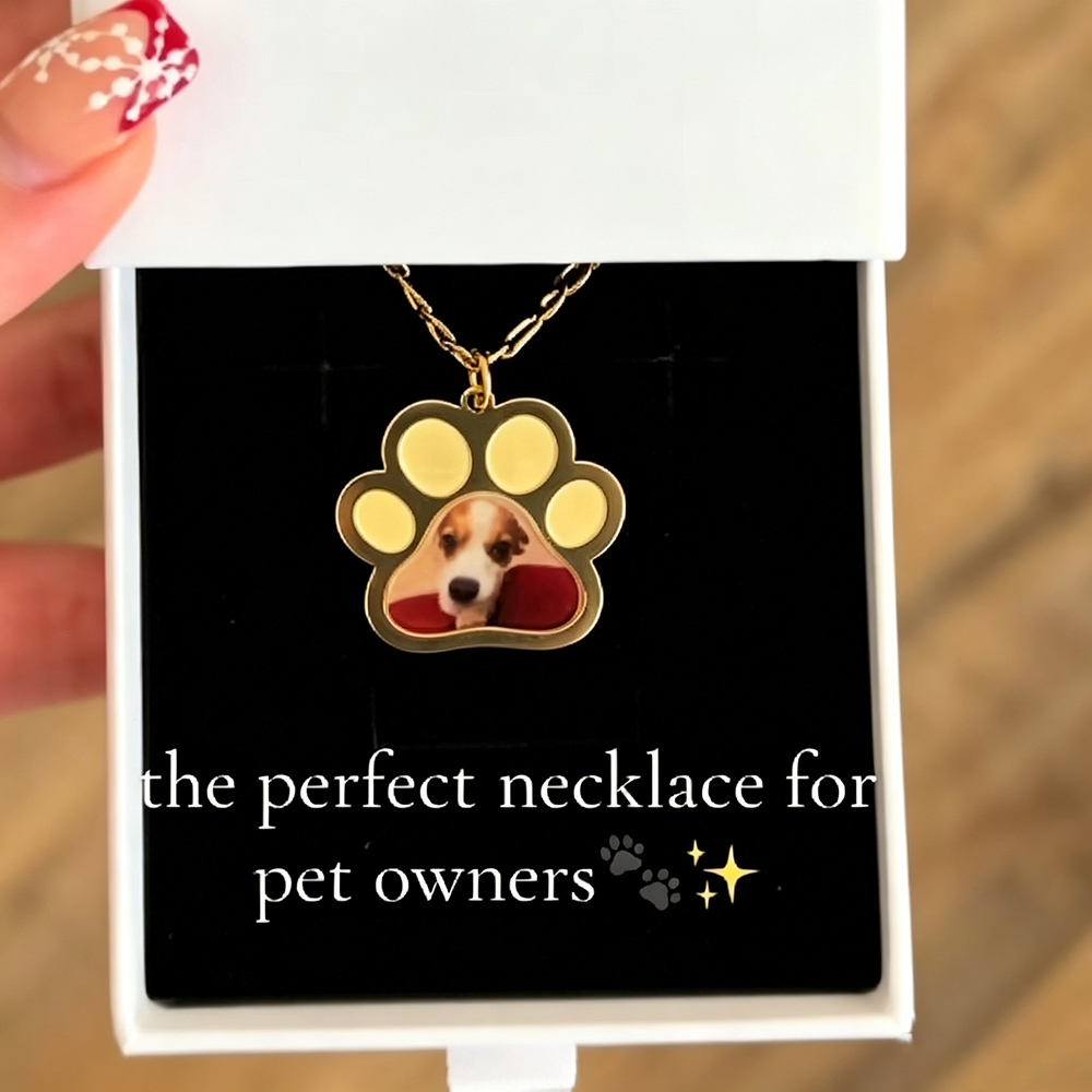 Personalized Pet Paw Colors Pr - Engraved Name Necklace 评论和价格