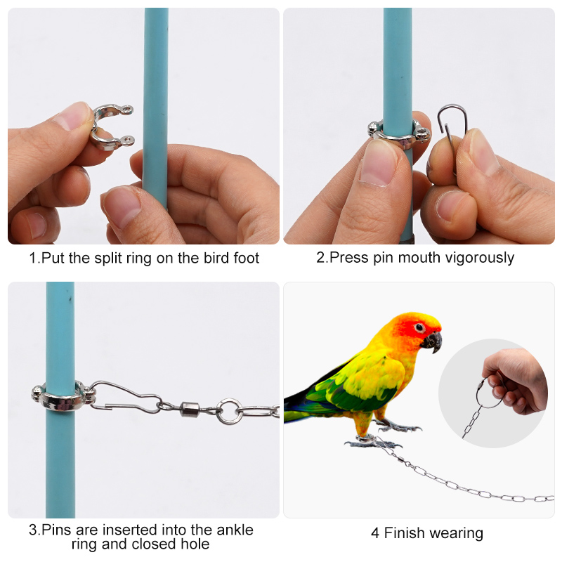 Stainless Steel Parrot Leg Rin - Anklet Foot Chain 评论和价格