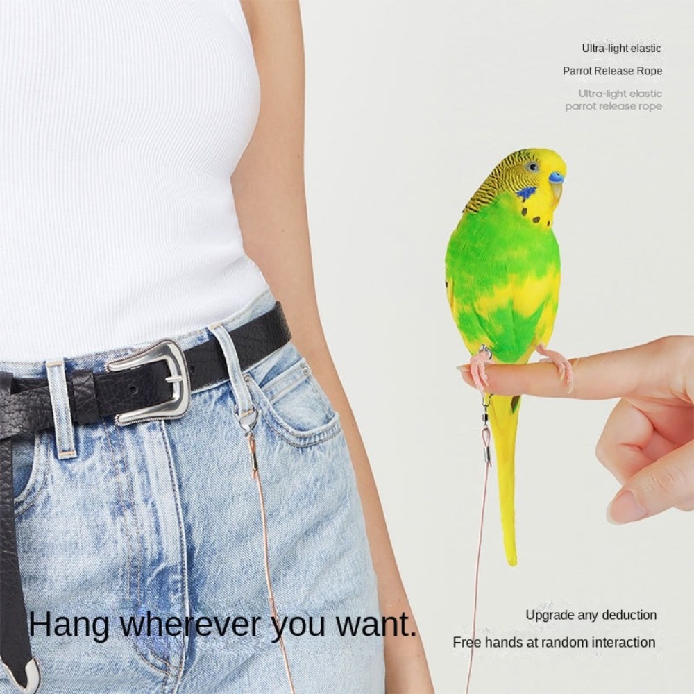 Elastic Parrot Traction Rope M - Anklet Foot Chain 评论和价格