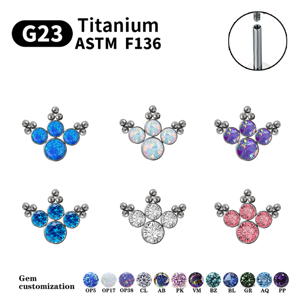 G23 Titanium Piercing Stud Ear - Opal Earrings Dangle 评论和价格